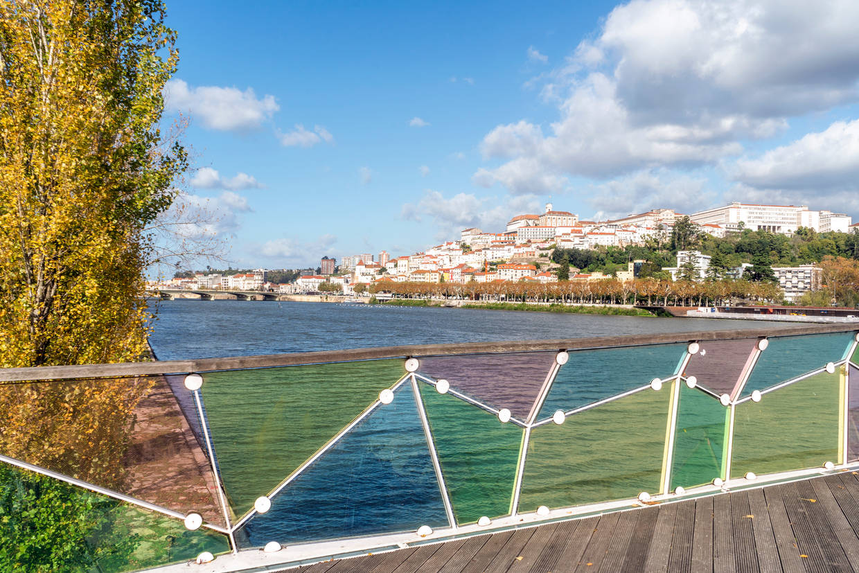 Ponte Pedro e Inês Coimbra - O Basófias