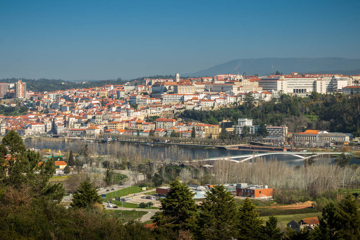Ponte Pedro e Inês Coimbra - O Basófias